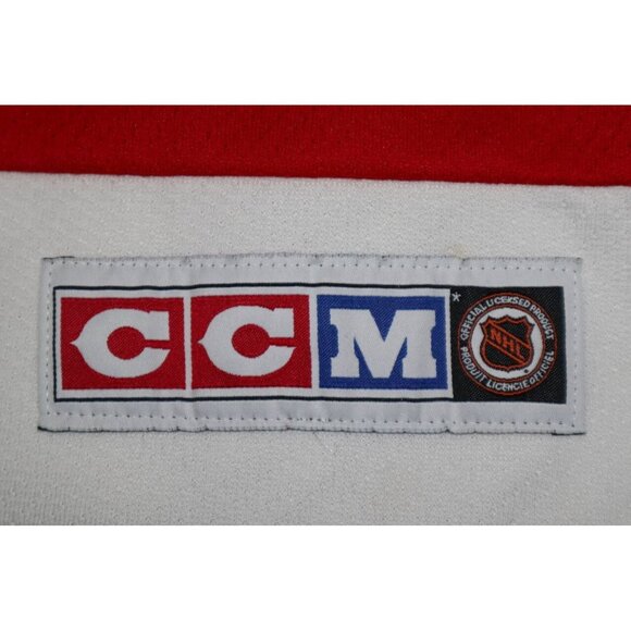 VTG Doug Brown #17 Detroit Red Wings CCM NHL Hockey Jersey Size L Canada Made - Picture 7 of 10